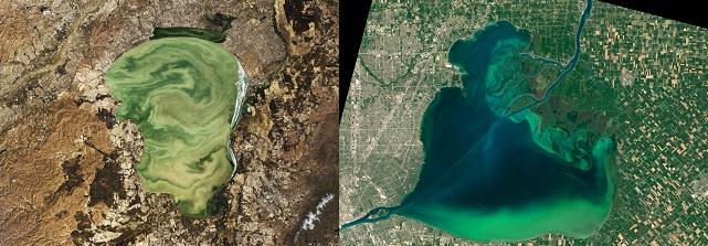 Lake Khanka & Lake St. Clair