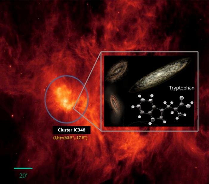 Tryptophan found in space