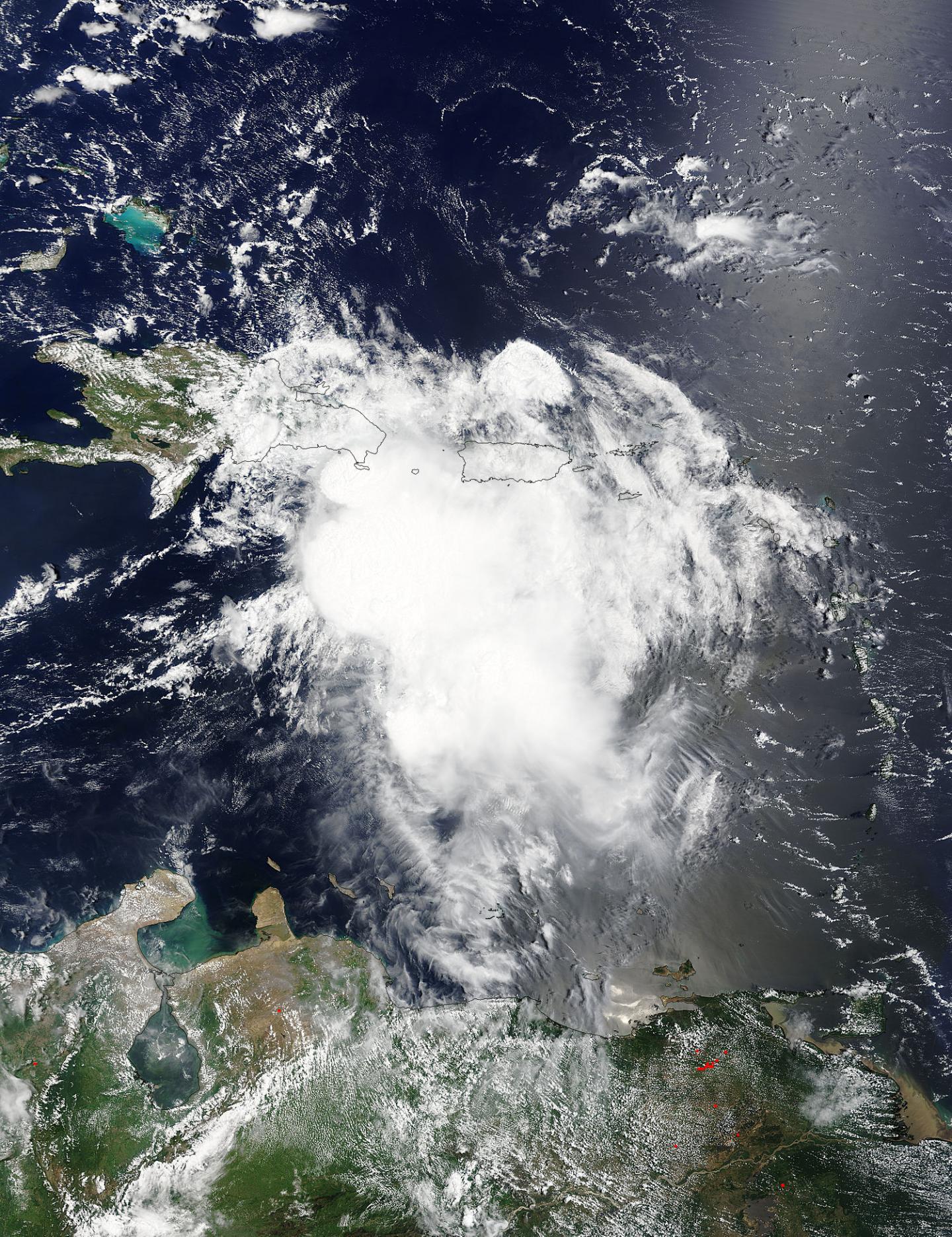Terra Image of Erika