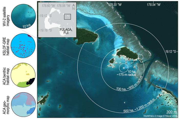 Researchers Use Satellites to Analyze Global Reef Biodiversity