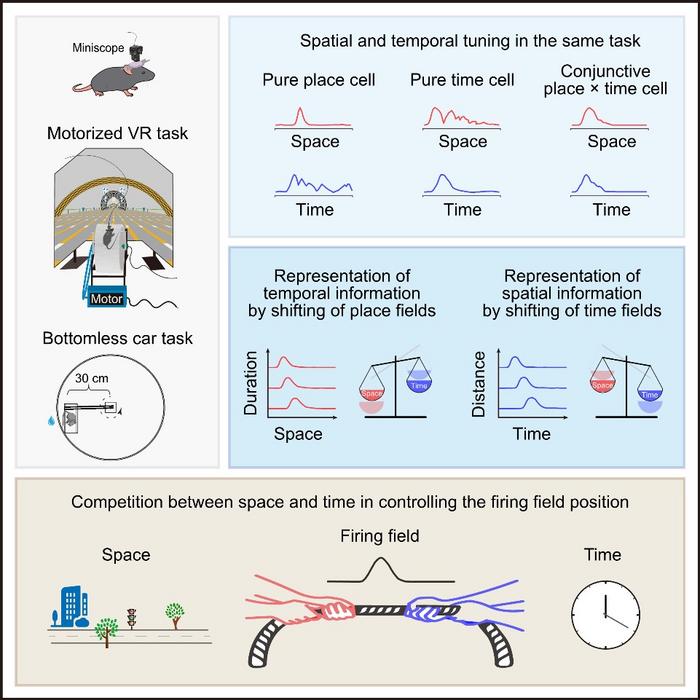 Interaction between the perception of space and time