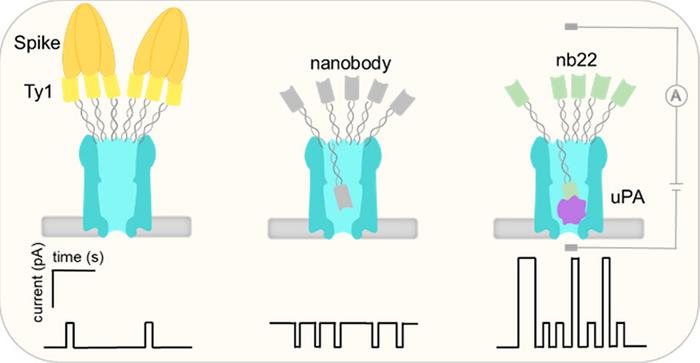 Tiny nanopores can contribute to faster identification of diseases