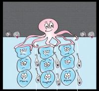 Illustration of the Segregation Process with An Octopus