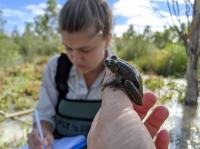 Australian Conservation Workers Conduct Evaluation of a Freshwater Habitat