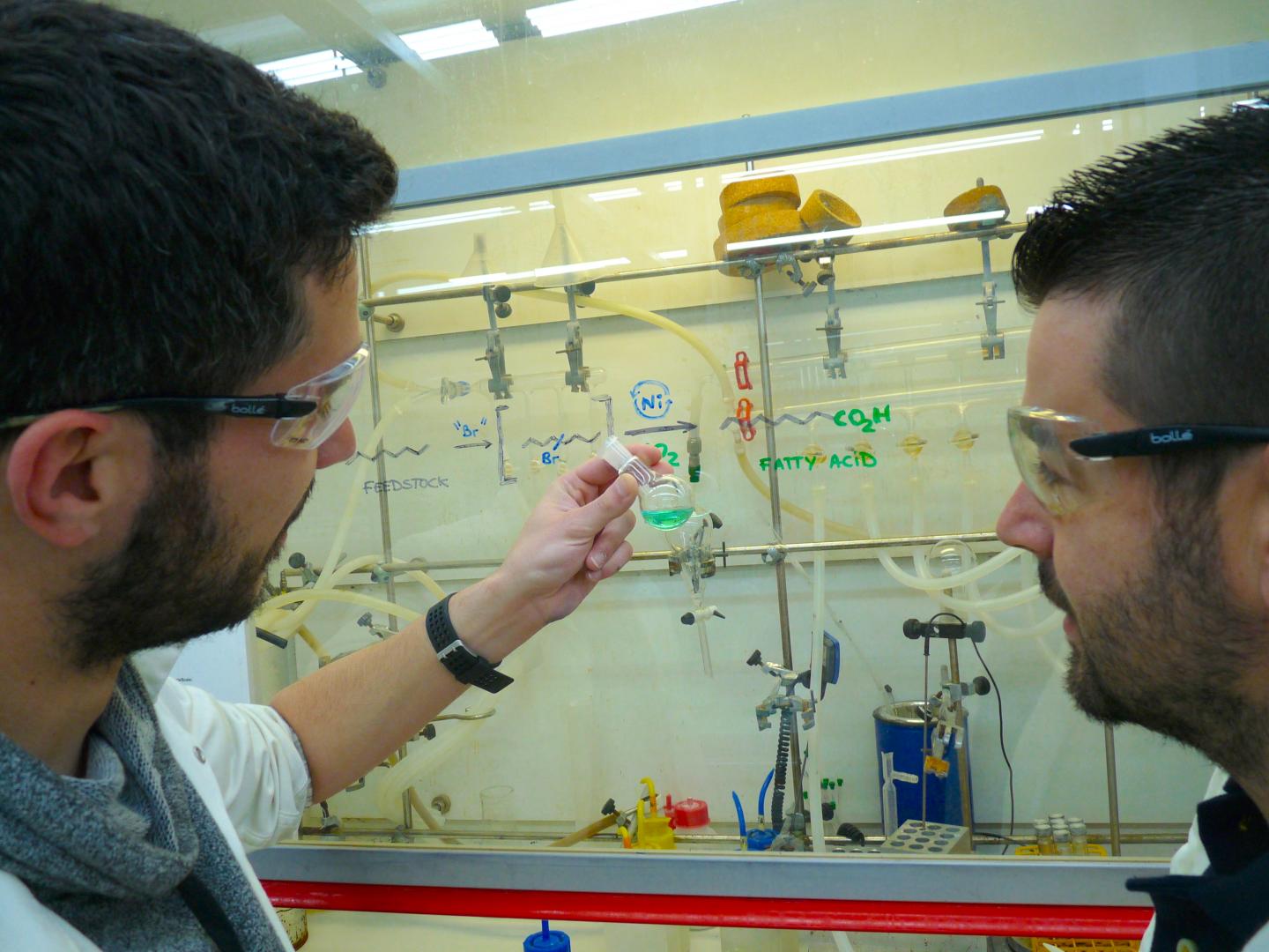 Nickel, a Greener Solution to Obtain Fatty Acids