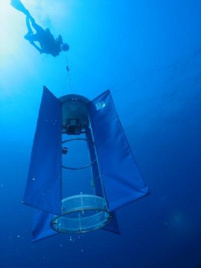 OWNFOR Offers New Way to Study Larval Migration in Pelagic Environment