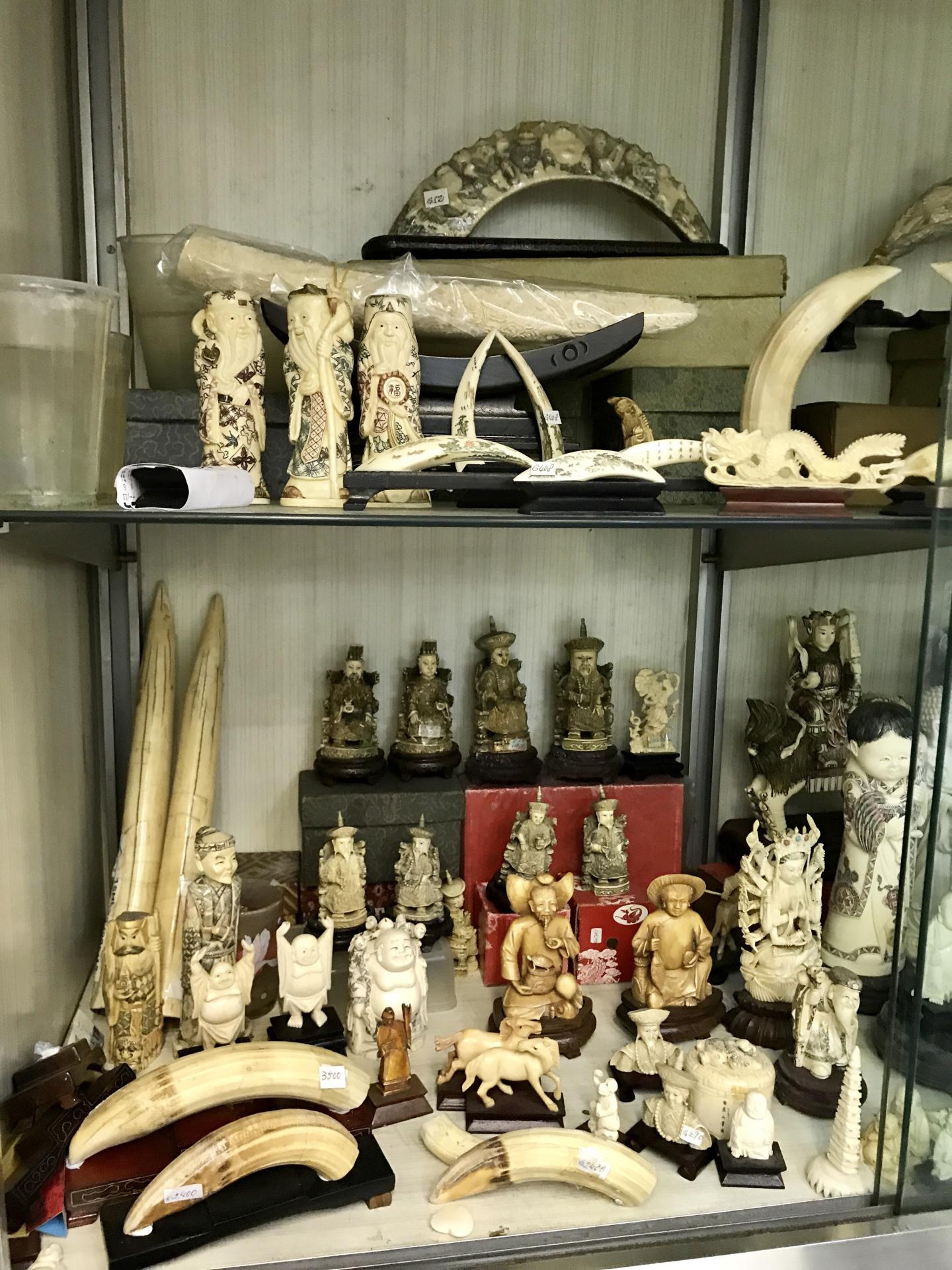 Hippo Teeth Products for Sale in an Ivory Shop in Sheung Wan, Hong Kong