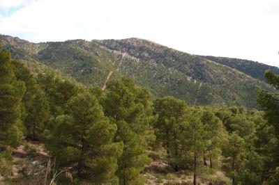 Châambi National Park, Tunisia