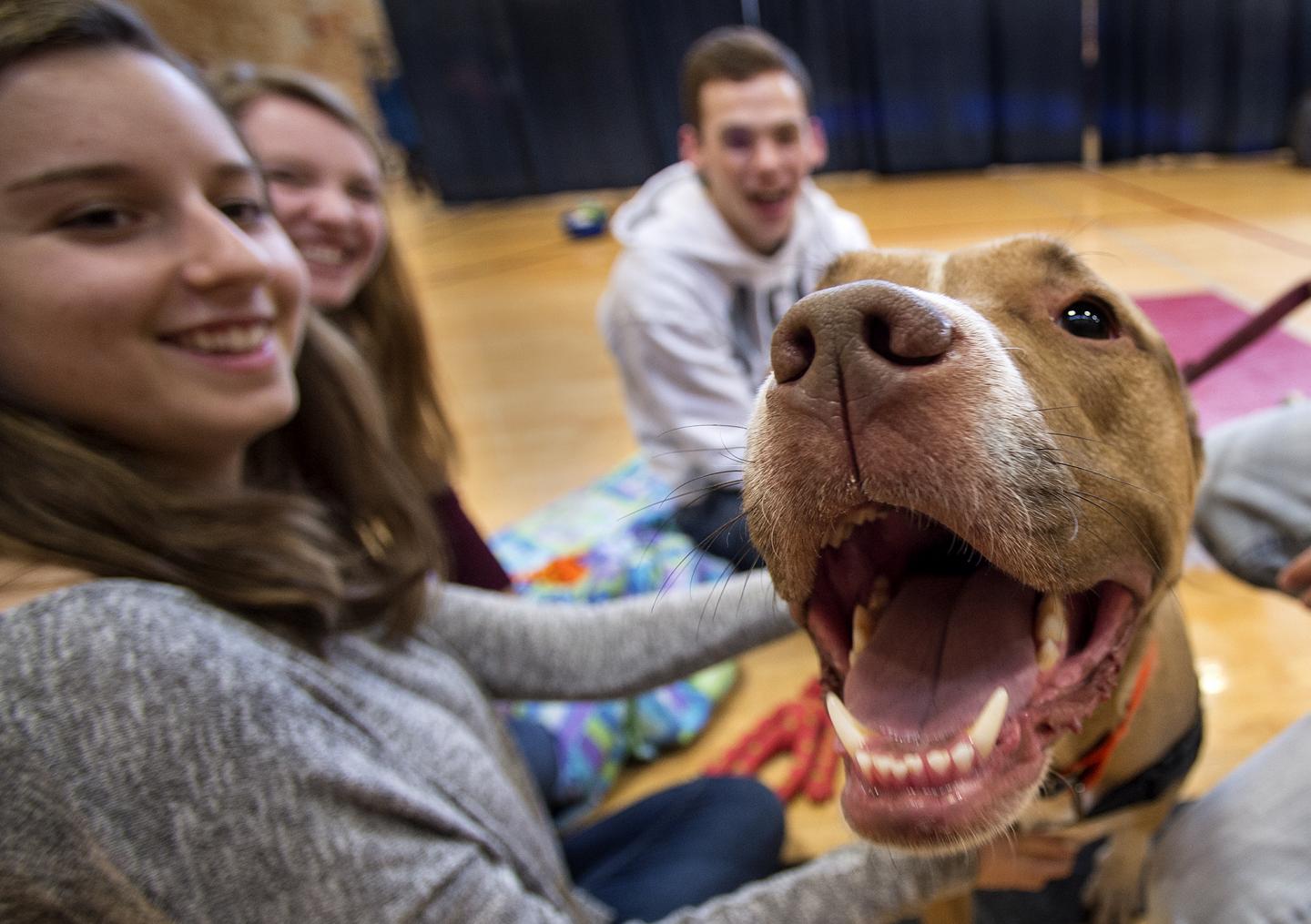 Students and a Dog