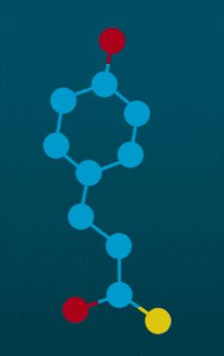How the Light-Sensitive Component of a Protein from Photosynthetic Bacteria Responds to Light