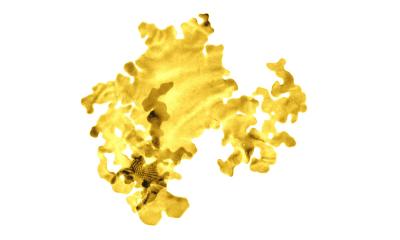 Gold Nanosheet