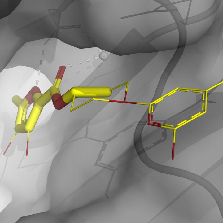 Using Fragment-Based Approaches to Discover New Antibiotics