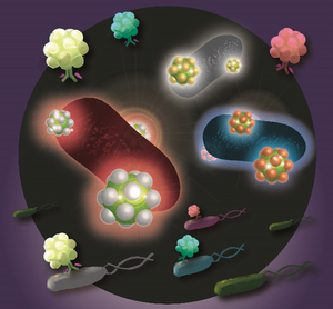 A simple, rapid method to simultaneously identify multiple food poisoning bacteria