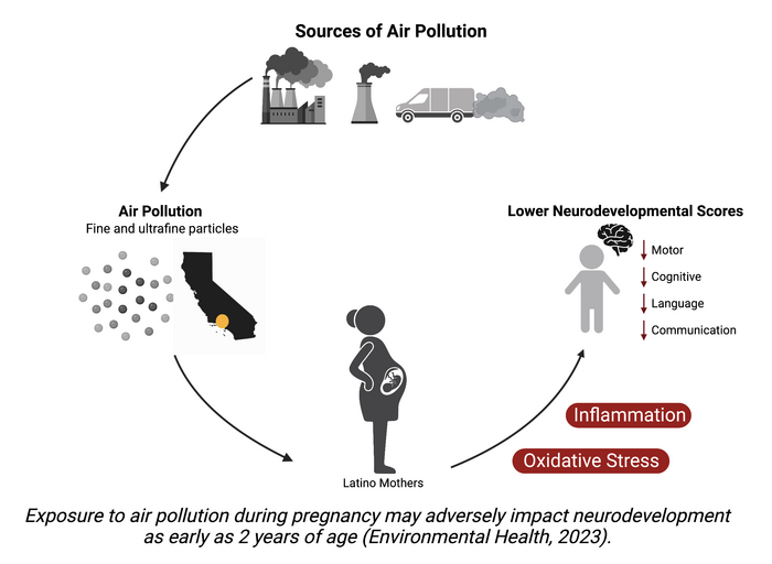 Impact of prenatal air pollution on infant development
