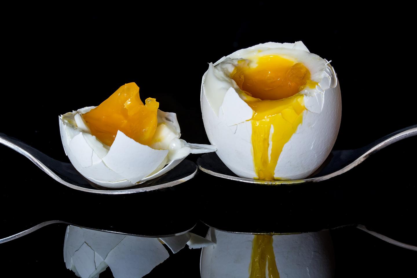 Two boiled eggs