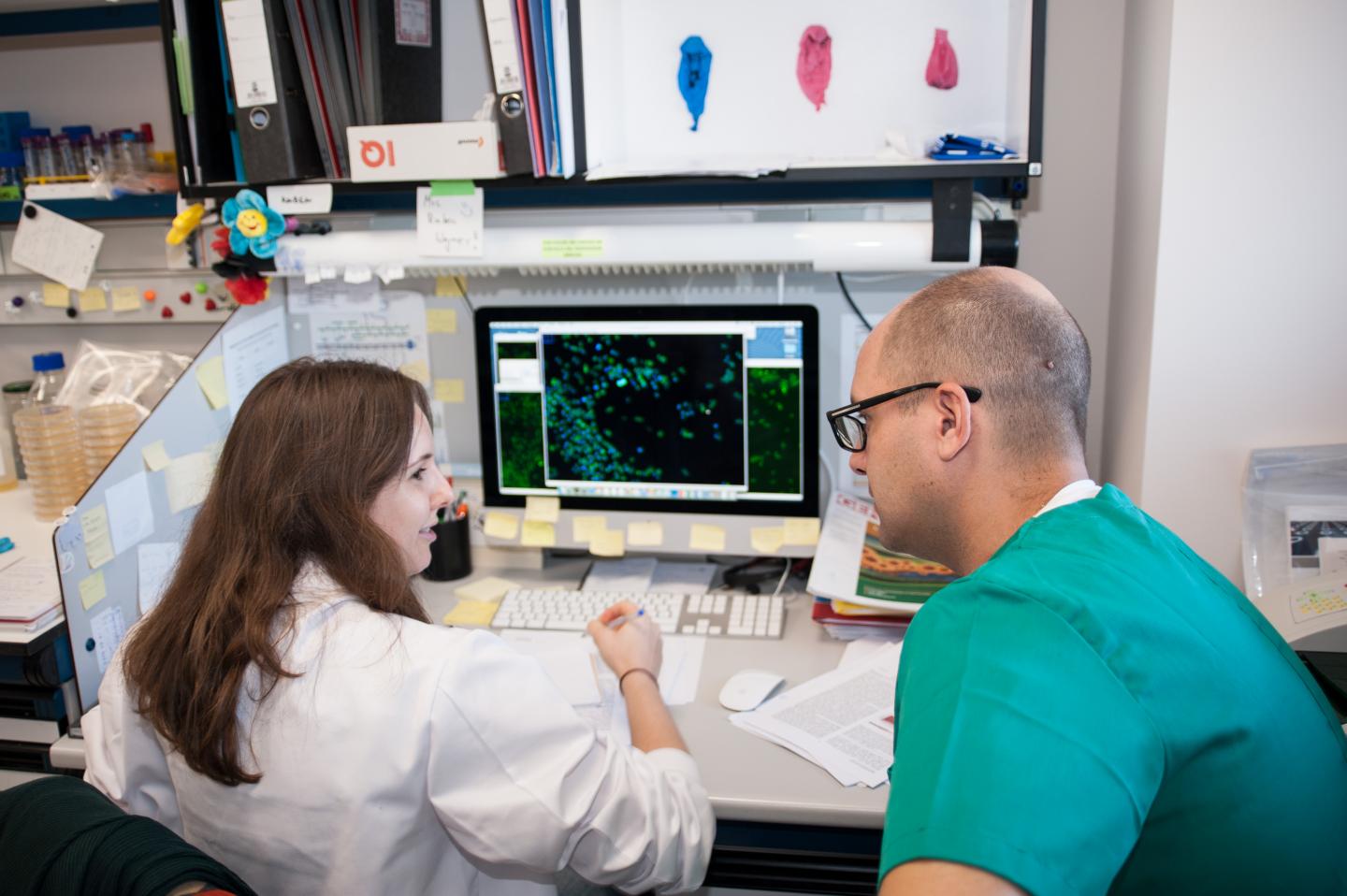 Sophisticated Cellular Organisation