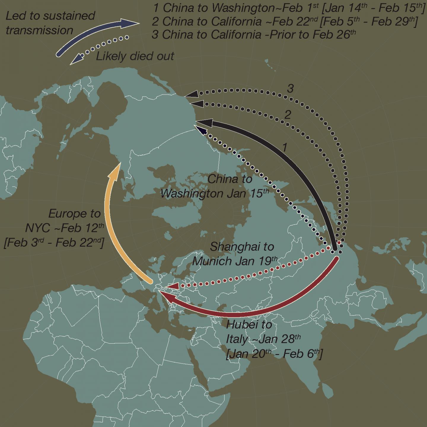 SARS-CoV-2 introductions to Europe and the United States