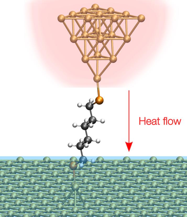 Heat Flow through a Single-Molecule Junction