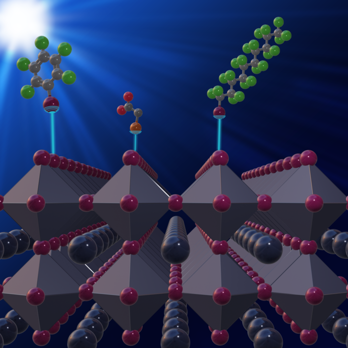 More efficient perovskite-based solar cells thanks to supramolecular chemistry