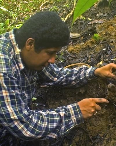 Hermogenes Fernandez, Smithsonian Tropical Research Institute