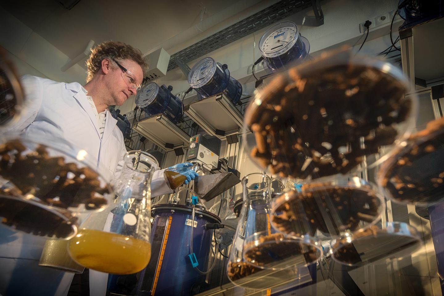 Marcell Nikolausz, Helmholtz Centre for Environmental Research - UFZ