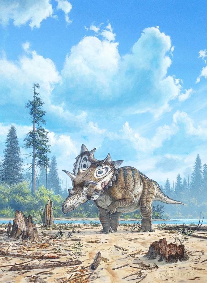 New Species of Horned Dinosaur with a Spiked 'Shield' (1 of 3)