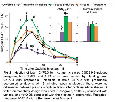 Nicotine Increases Codeine-Induced Analgesia