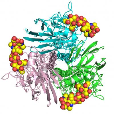 H7N9 Virus Is Still for the Birds (For Now)