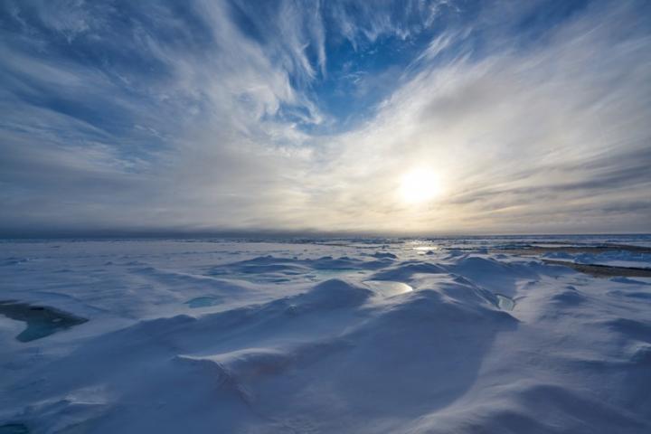 A shrinking carbon sink in the Arctic