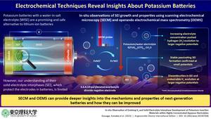 Researchers gain insights into next-generation batteries