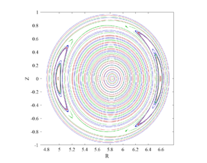 Magnetic island projected in the poloidal plane of tokamak