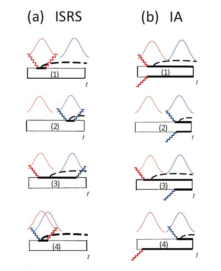 Figure 1. Double-Sided Feynman Diagrams for the Density Matrices