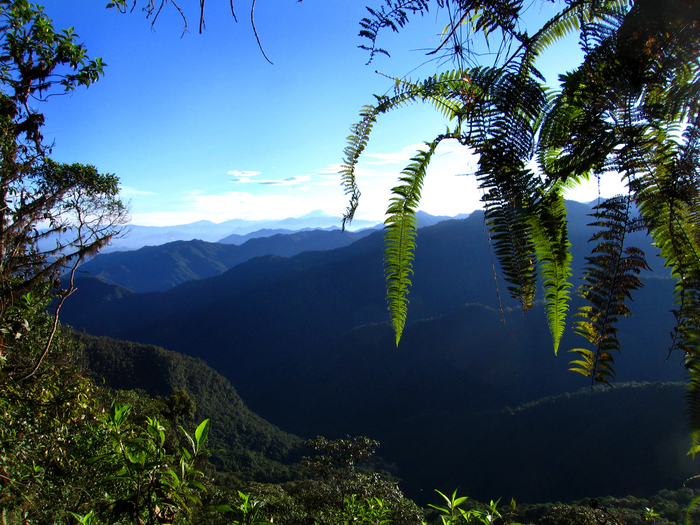 Andes from Ecuador