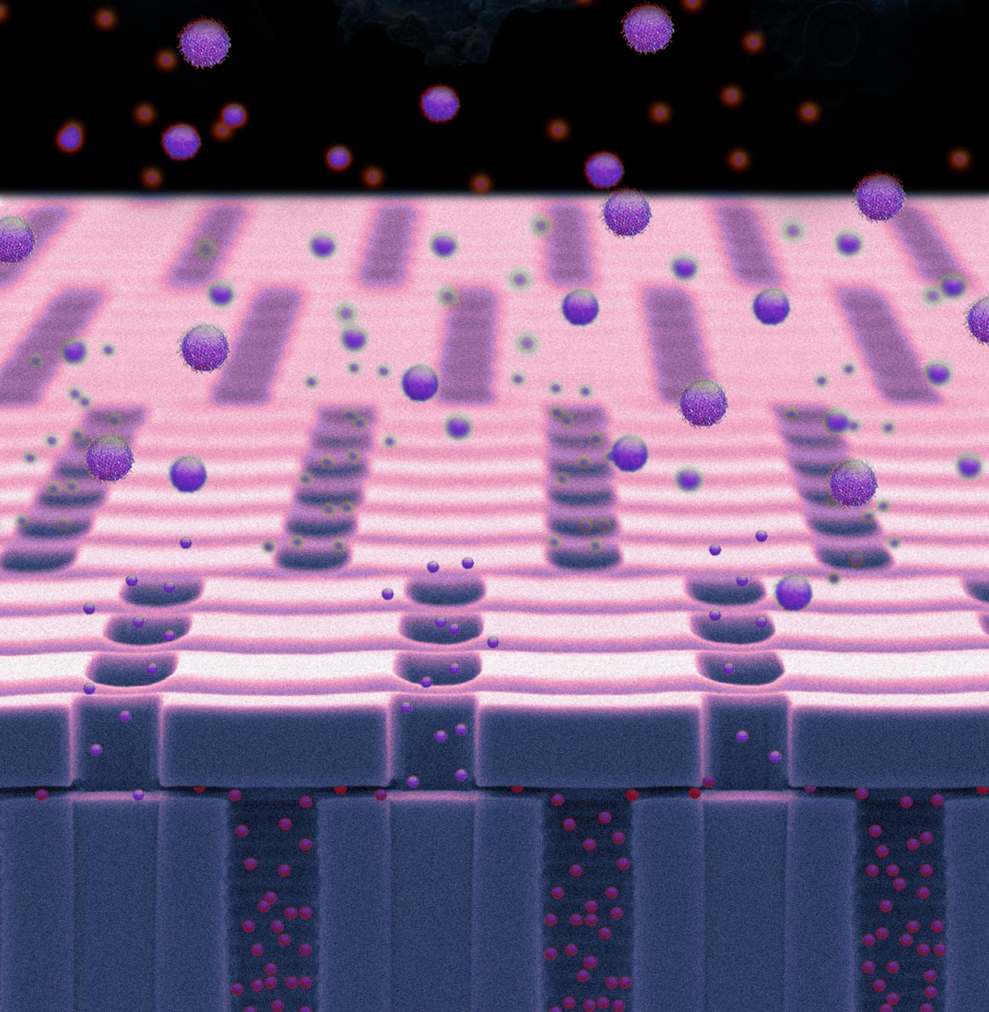 Nanochannel Membrane