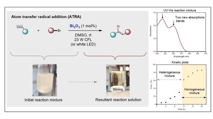 Graphical abstract