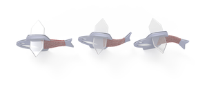 Schematics of autonomously swimming biohybrid fish