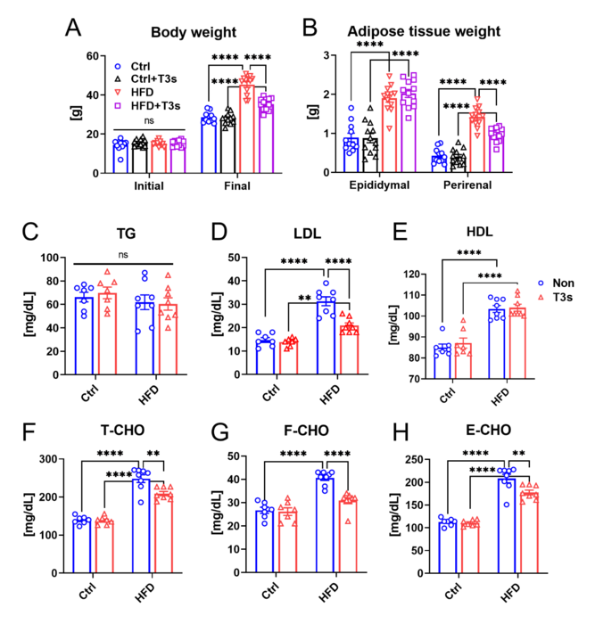 Tocotrienols help prevent obesity and high blood cholesterol levels
