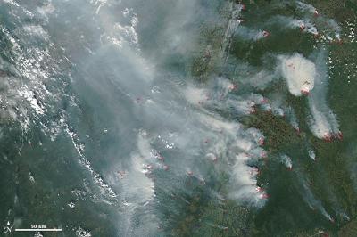 Fires in Siberia