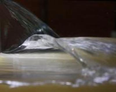 A Scientific Experiment Is Able to Create a Wave that Is Frozen in Time (1 of 2)