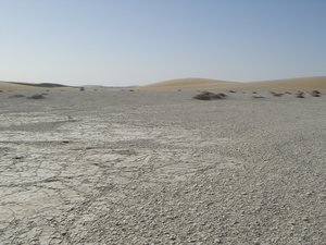 Dans le désert du Djourab (Tchad)