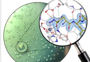 Illustration - Green Liquid Containing Crystals with Close up of Atomic Structure