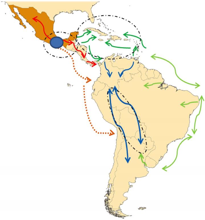 Geography and Culture May Shape Latin American and Caribbean Maize