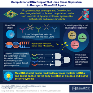 Computational DNA Droplet That Uses Phase Separation to Recognize Micro-RNA Inputs