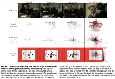 Saccade Maps Constructed from 1 Control Participant