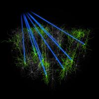 Holographic Targeting of Laser Beams to Individual Neurons in the Cortex