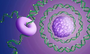 Long-read genomic sequencing