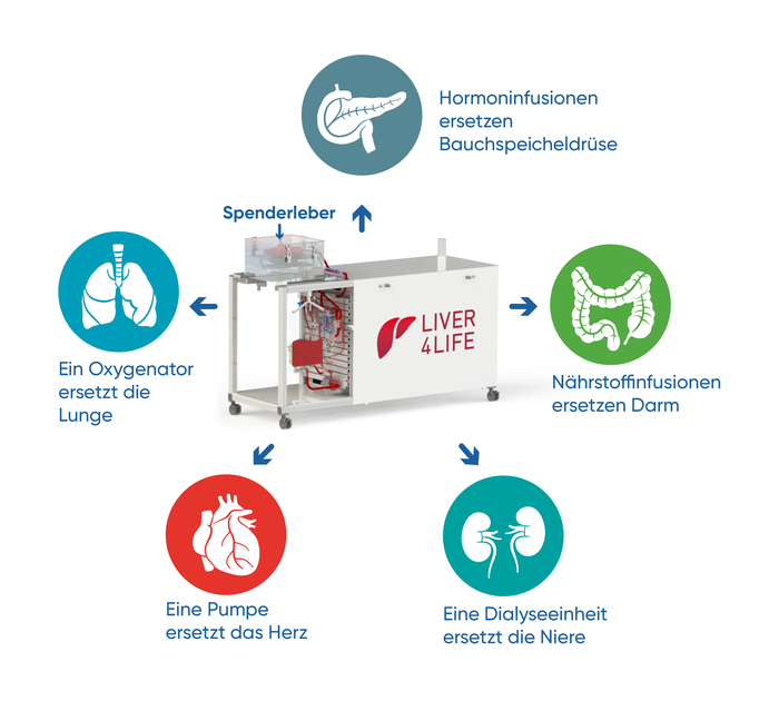 perfusion machine