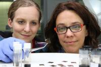 Nicky Miller and Maria Bernechea, ICFO-The Institute of Photonic Sciences