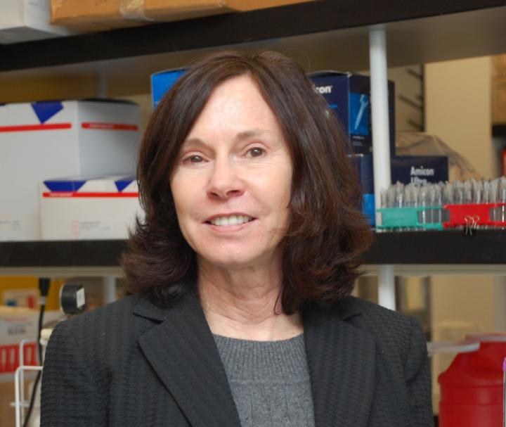 Linda Bradley, Ph.D., Sanford Burnham Prebys Medical Discovery Institute