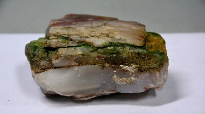 Cyanobacteria from the Mars Desert Research Station (MDRS)